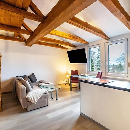 Apartment Im Harzer Vogelnest Meisennest *