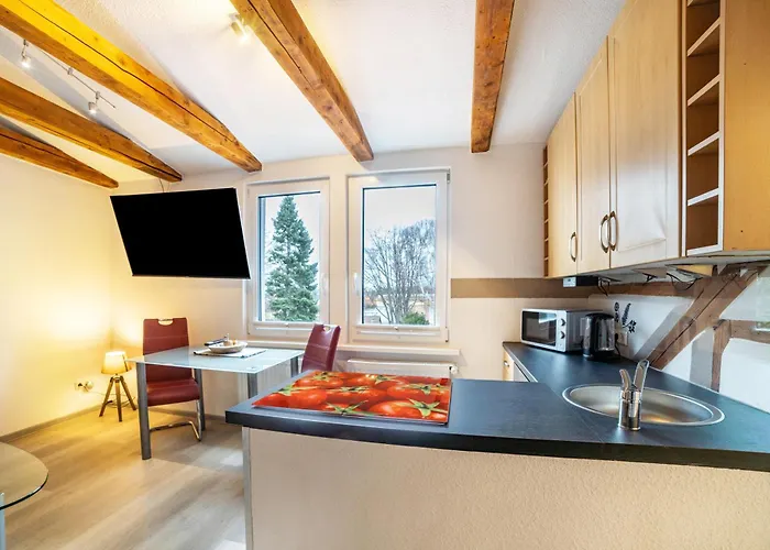 Apartamento Im Harzer Vogelnest Meisennest Bad Harzburg