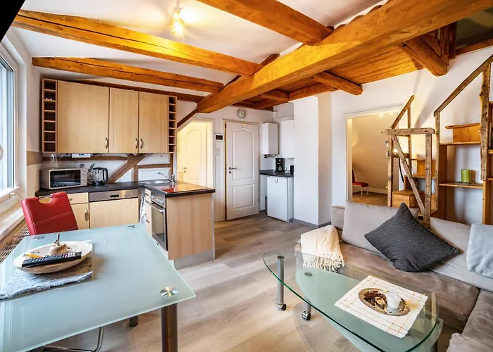 Im Harzer Vogelnest Meisennest Apartamento